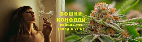 амф Заволжье