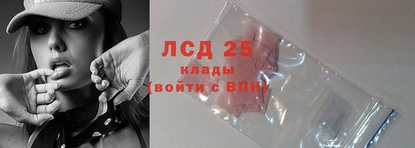амф Заволжье