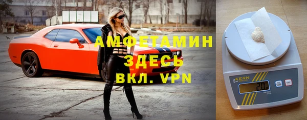 амф Заволжье