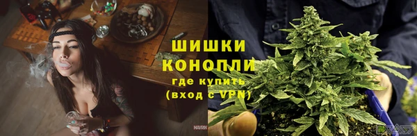 молекула духа Заволжск
