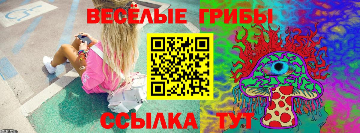 Буйнакск  Галлюциногенные грибы Magic Shrooms  Вход с VPN  купить закладку  Галлюциногенные грибы прущие грибы 