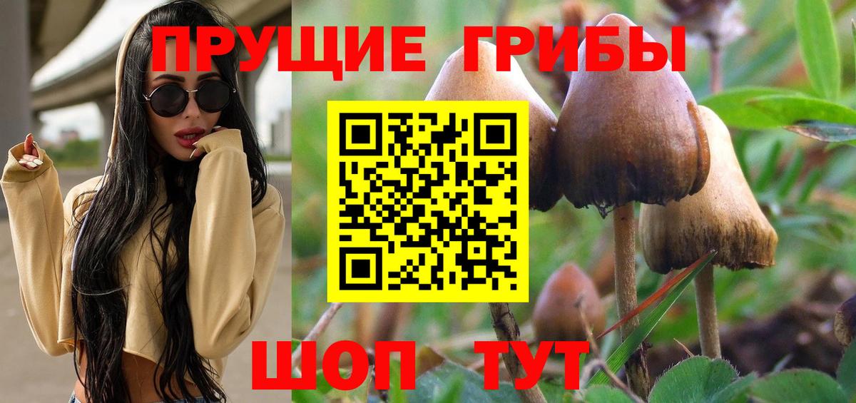 Псилоцибиновые грибы MAGIC MUSHROOMS Буйнакск